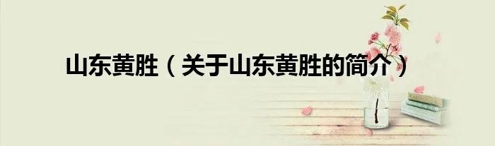山东黄胜（关于山东黄胜的简介）