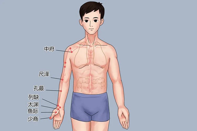 中医按摩经络图