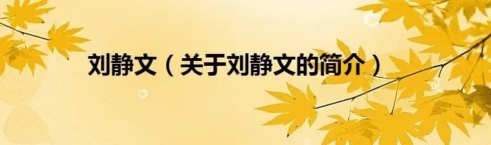 刘静文（关于刘静文的简介）