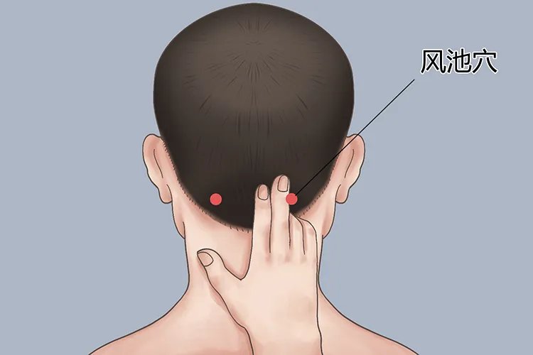 风池的准确位置图