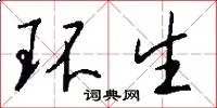 环生