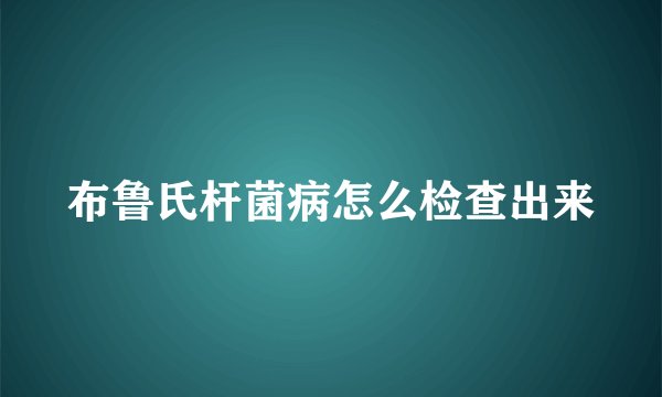 布鲁氏杆菌病怎么检查出来