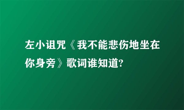 左小诅咒《我不能悲伤地坐在你身旁》歌词谁知道?