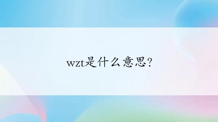 wzt是什么意思？