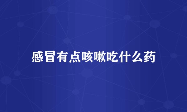 感冒有点咳嗽吃什么药