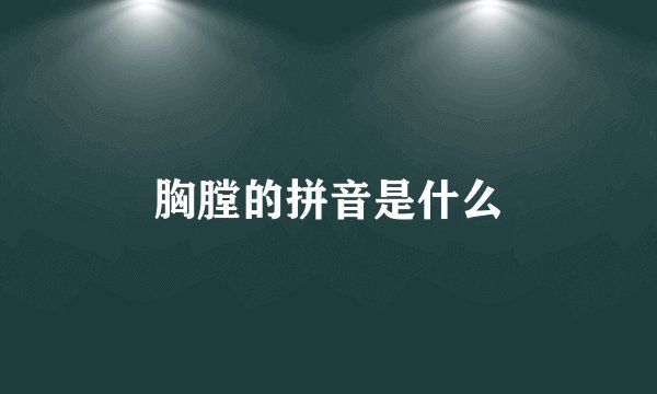 胸膛的拼音是什么