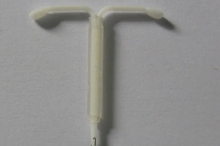 曼月环的图片大全