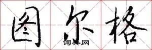图尔格