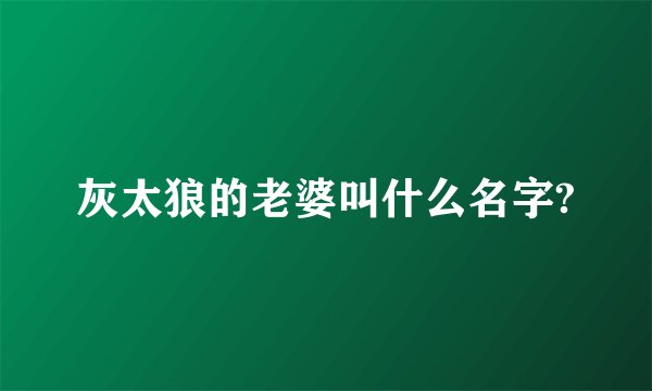 灰太狼的老婆叫什么名字?