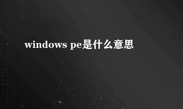 windows pe是什么意思