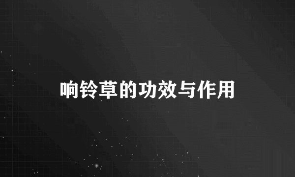 响铃草的功效与作用