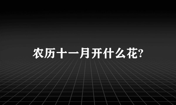 农历十一月开什么花?