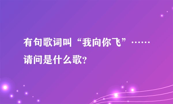 有句歌词叫“我向你飞”……请问是什么歌？