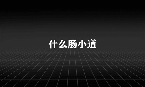什么肠小道
