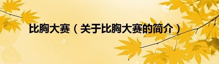 比胸大赛（关于比胸大赛的简介）