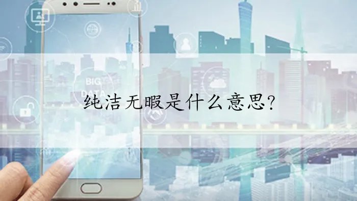 纯洁无暇是什么意思？
