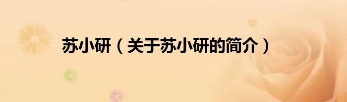 苏小研（关于苏小研的简介）