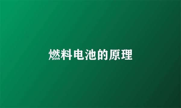 燃料电池的原理