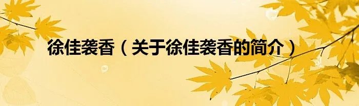 徐佳袭香（关于徐佳袭香的简介）