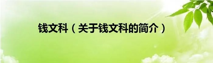 钱文科（关于钱文科的简介）