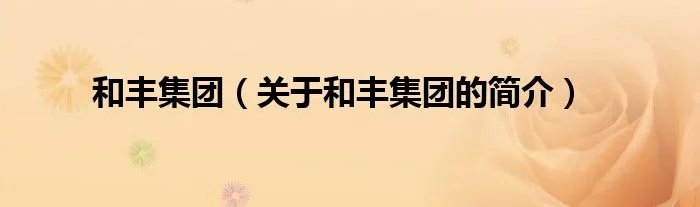 和丰集团（关于和丰集团的简介）