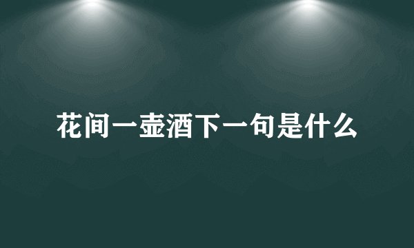 花间一壶酒下一句是什么