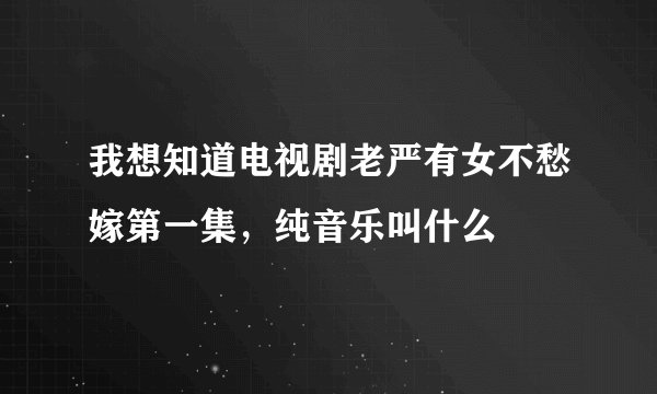 我想知道电视剧老严有女不愁嫁第一集,纯音乐叫什么