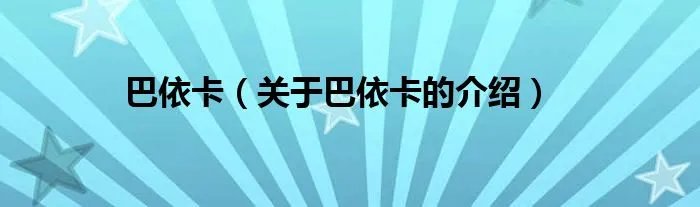 巴依卡（关于巴依卡的介绍）