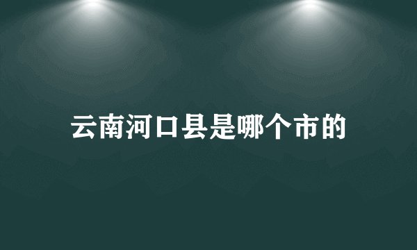 云南河口县是哪个市的