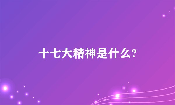 十七大精神是什么?