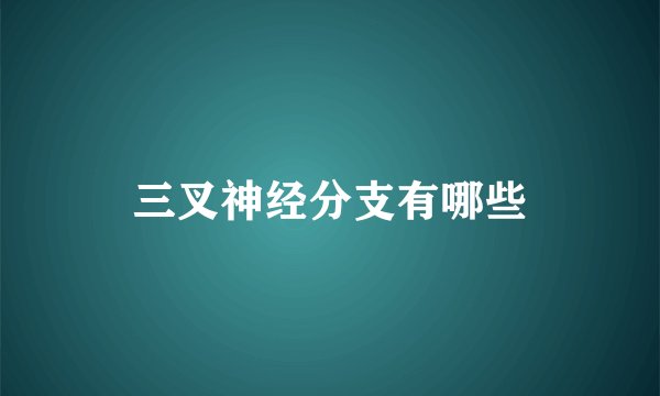三叉神经分支有哪些