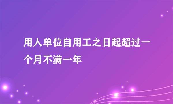 用人单位自用工之日起超过一个月不满一年