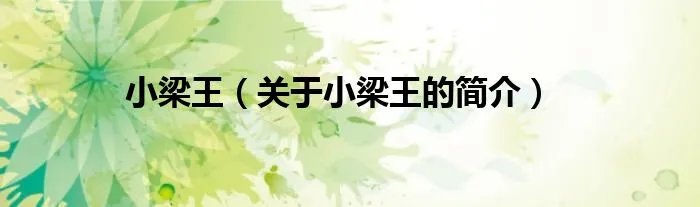 小梁王（关于小梁王的简介）