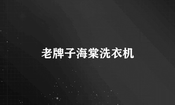 老牌子海棠洗衣机