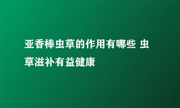 亚香棒虫草的作用有哪些 虫草滋补有益健康