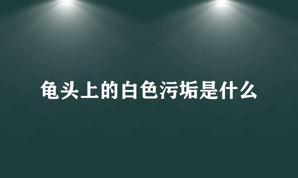 龟头上的白色污垢是什么