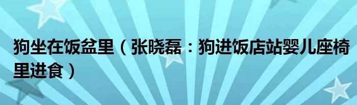 狗坐在饭盆里（张晓磊：狗进饭店站婴儿座椅里进食）