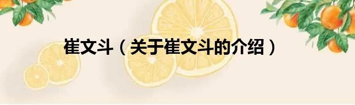 崔文斗（关于崔文斗的介绍）