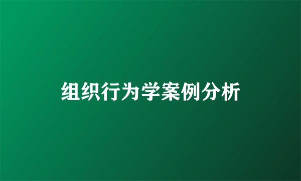 组织行为学案例分析
