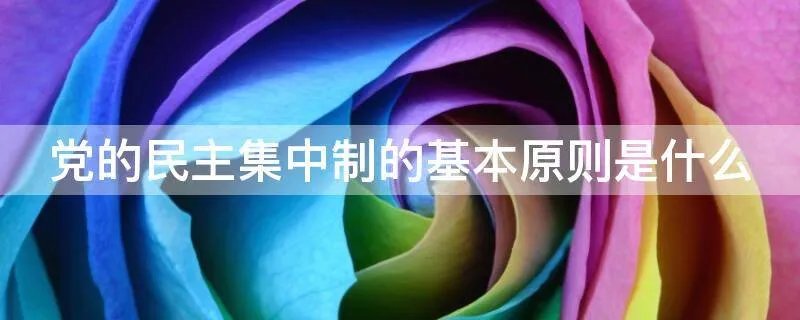 党的民主集中制的基本原则是什么