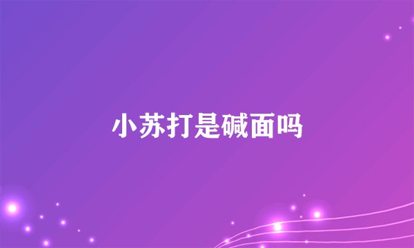 小苏打是碱面吗
