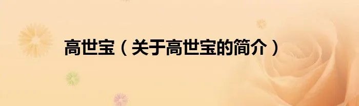 高世宝（关于高世宝的简介）