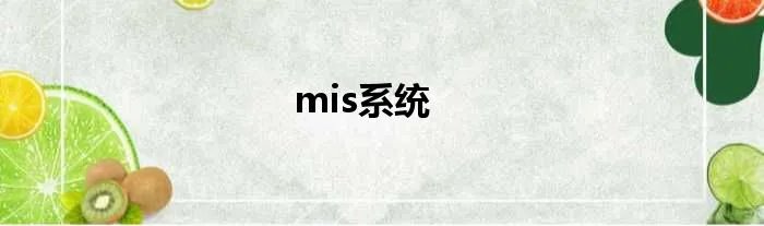 mis系统