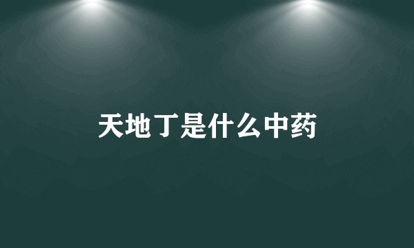 天地丁是什么中药
