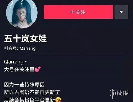 岚语是什么语言 岚语梗介绍