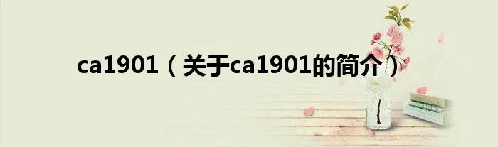 ca1901(关于ca1901的简介)