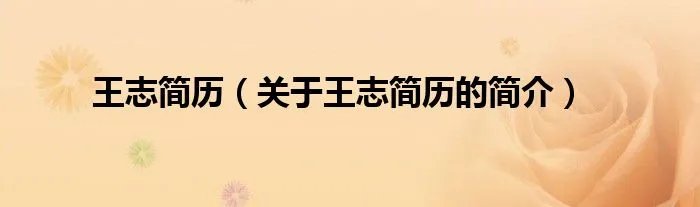 王志简历（关于王志简历的简介）