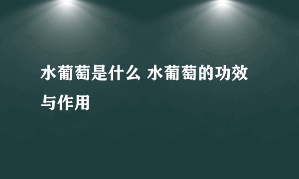 水葡萄是什么 水葡萄的功效与作用