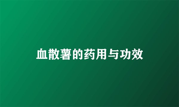 血散薯的药用与功效