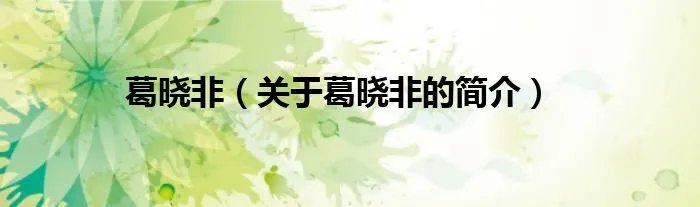 葛晓非（关于葛晓非的简介）